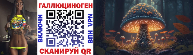 Галлюциногенные грибы GOLDEN TEACHER  OMG   shop формула  Сретенск 